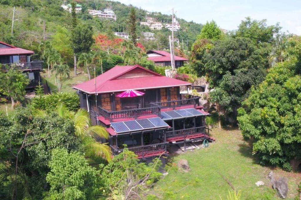 Mid-Century: Caribbean Style Apartment Contant  Ngoại thất bức ảnh