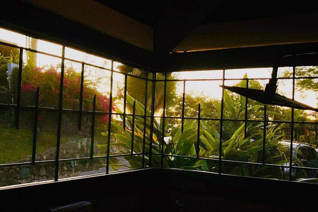 Mid-Century: Caribbean Style Apartment Contant  Ngoại thất bức ảnh
