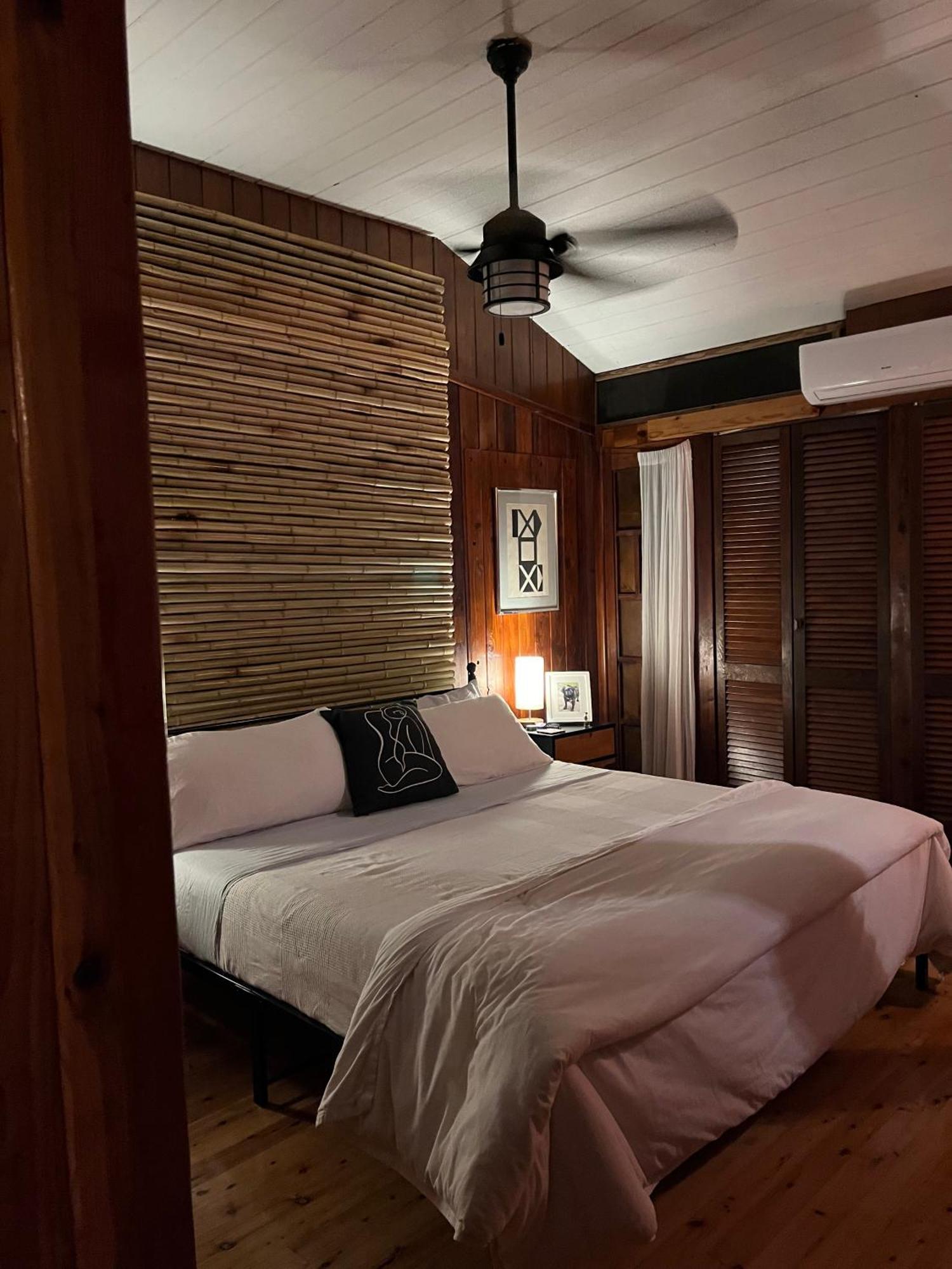 Mid-Century: Caribbean Style Apartment Contant  Ngoại thất bức ảnh